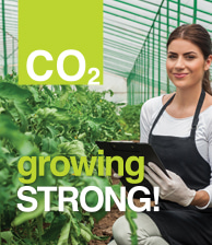 CO2 Growing Strong